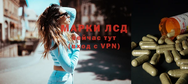 прущие грибы Белоозёрский
