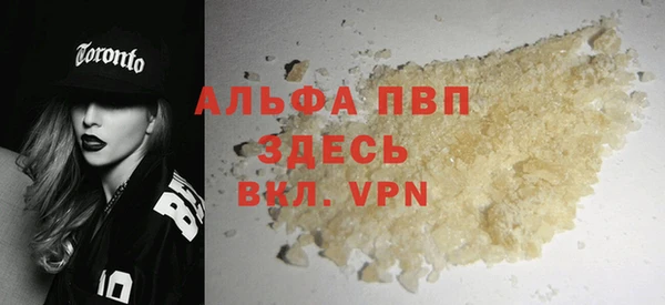 прущие грибы Белоозёрский