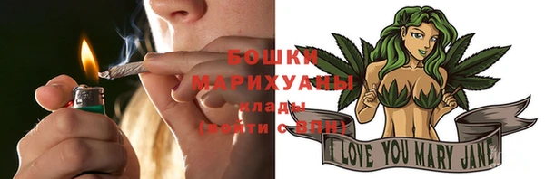прущие грибы Белоозёрский