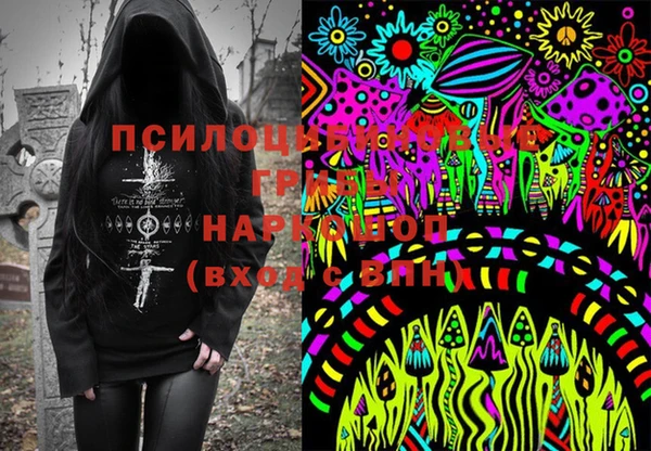 прущие грибы Белоозёрский