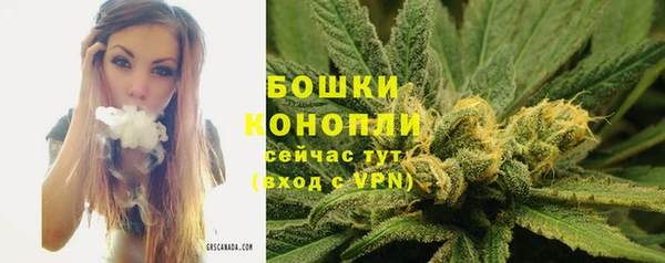 прущие грибы Белоозёрский