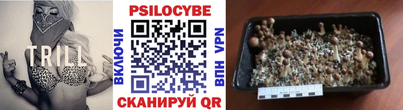Галлюциногенные грибы прущие грибы Саяногорск